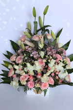 product main image 1