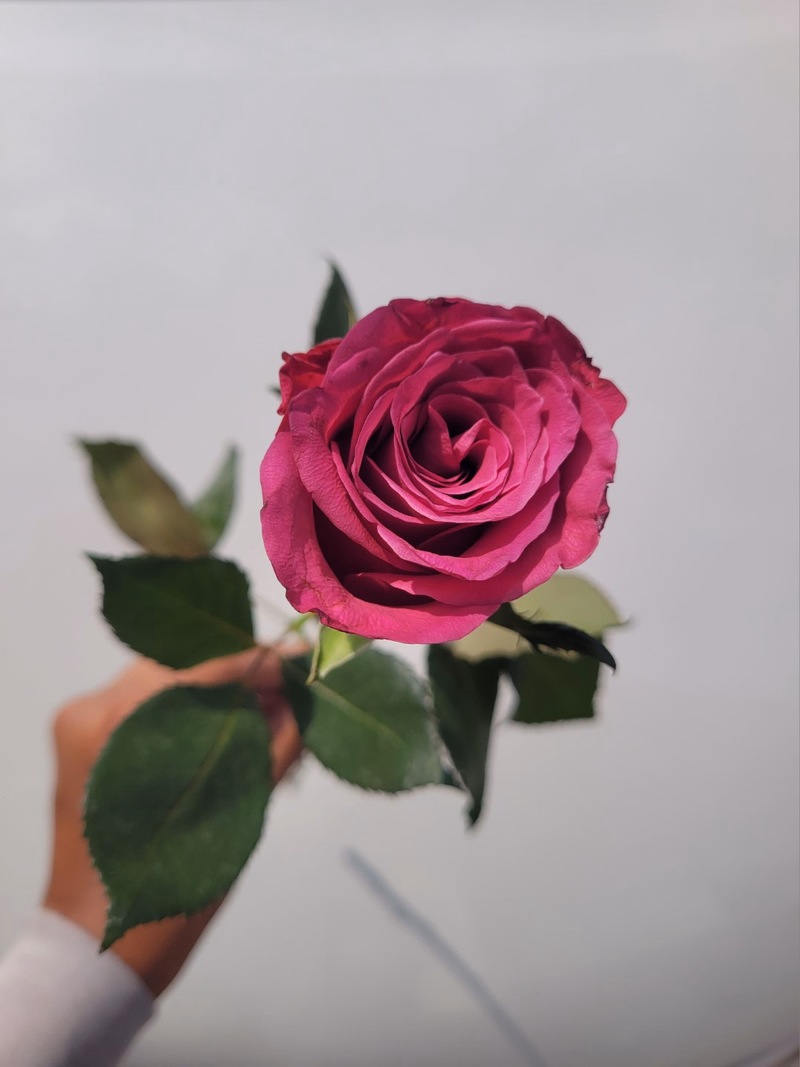 product main image 1