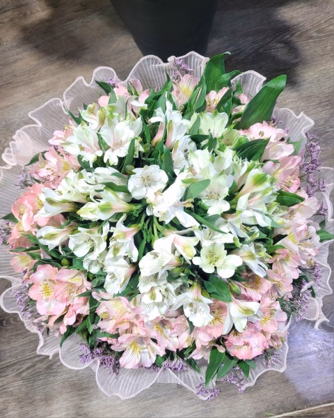product main image 1