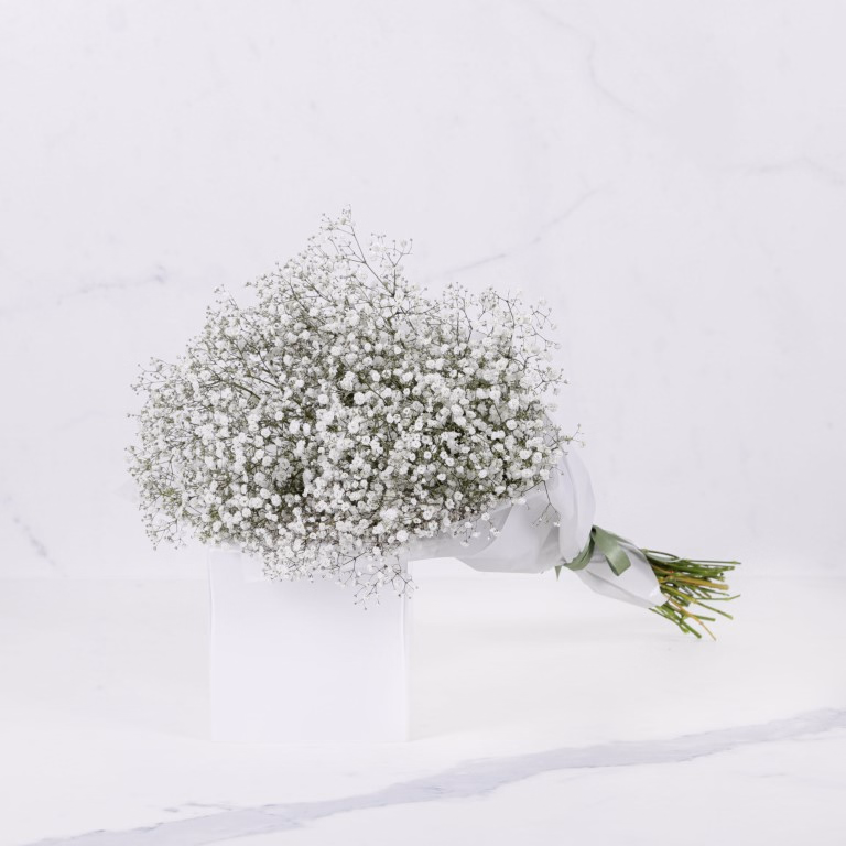 product main image 1