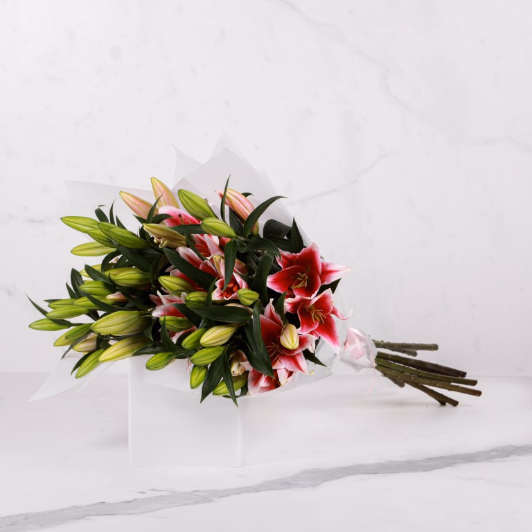 product main image 1