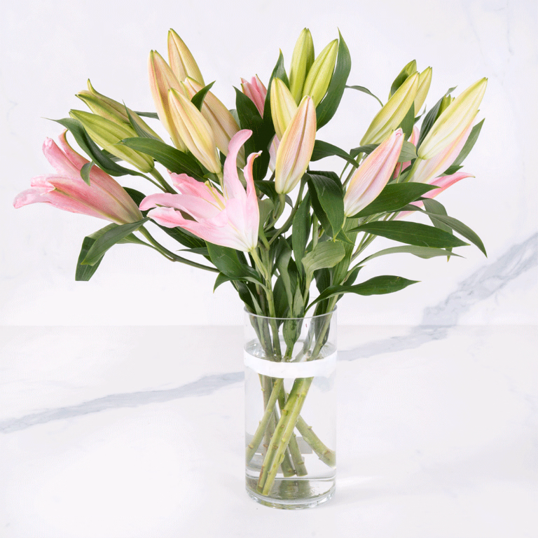 product main image 1