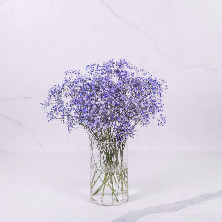 product main image 1