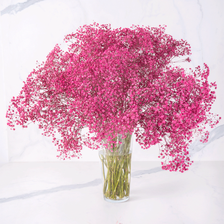 product main image 1