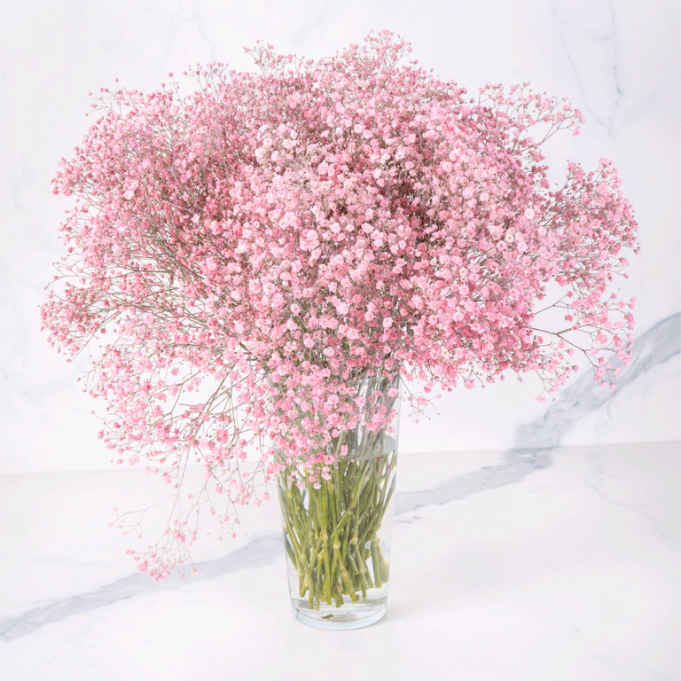product main image 1