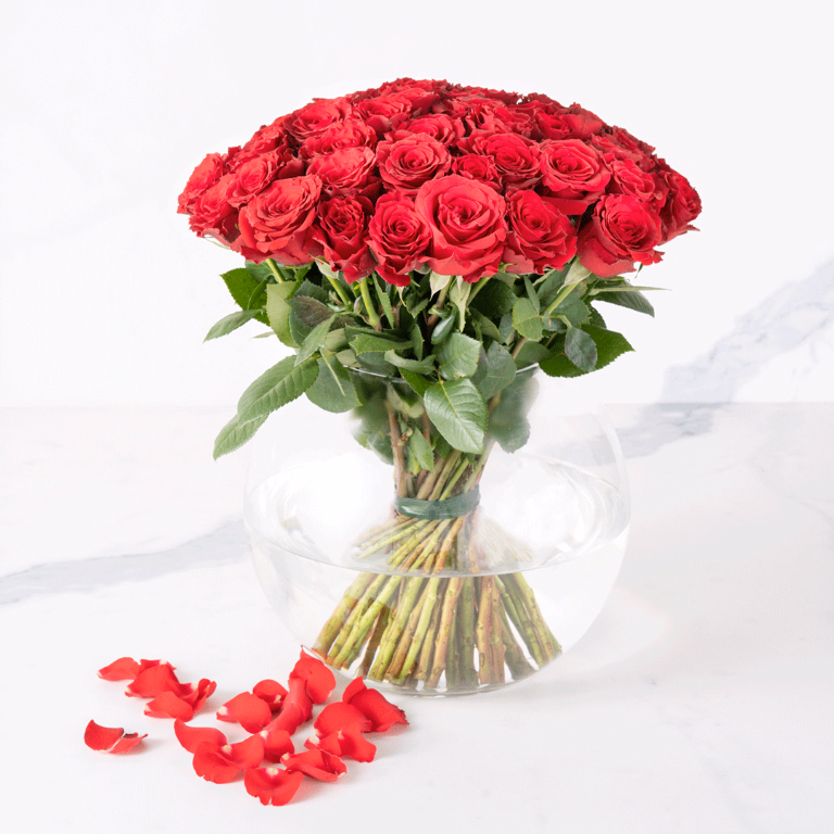product main image 1