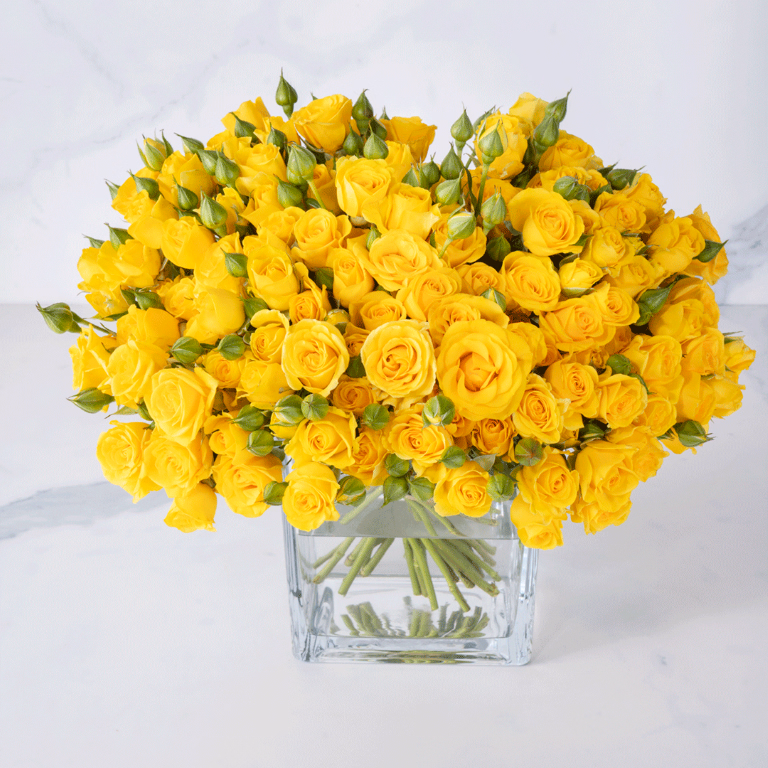 product main image 1