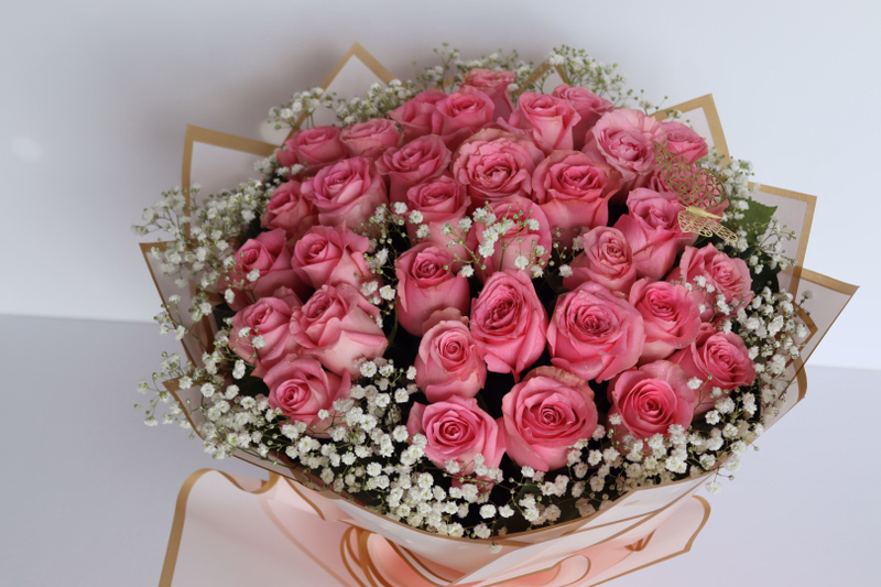 IMG_9146.bak.JPG