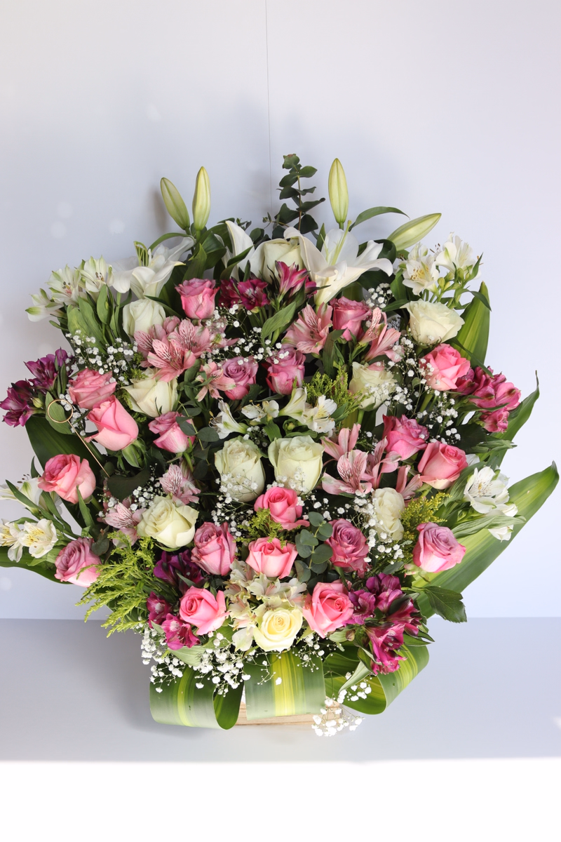 product main image 1